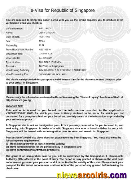 Singapore e-visa